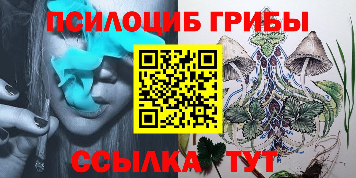 Галлюциногенные грибы Psilocybe Нарткала